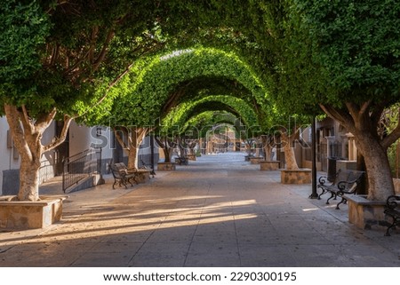 Beautiful pedestrian-only main street surrounded by lush, vibrant manicured trees in Loreto, Mexico
 Royalty-Free Stock Photo #2290300195