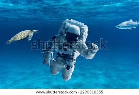 astronat in the ocean, picture, fun 