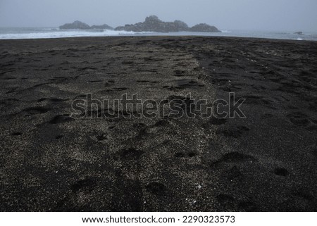footprints in the sand on the beach with fog on a cloudy day