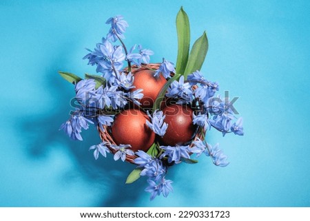 Easter eggs and scilla bifolia flowers in a basket on a blue background. Top view.