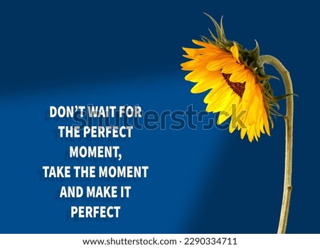 Don't wait for the perfect moment, seize the moment and make it perfect. A motivational quote on a blue background, a juicy sunflower flower next to it. Inspirational quote of the day concept