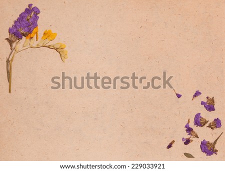 beautiful dried blossoms on the handmade craft paper