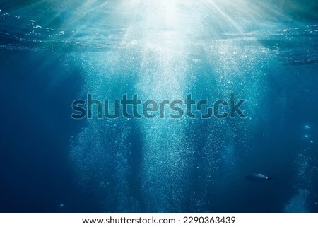Sunlight underwater with bubbles rising to water surface in the sea, Mediterranean, France Royalty-Free Stock Photo #2290363439