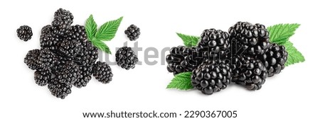 blackberry with leaf isolated on a white background closeup Royalty-Free Stock Photo #2290367005