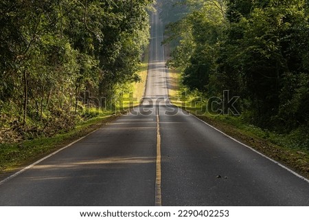 Road in the middle of the forest and ascending to the top of the hill. in Khao Yai National Park, Thailand. Royalty-Free Stock Photo #2290402253