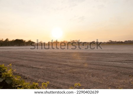 Land, landscape at evening. Include soil backfill, empty or vacant area at outdoor. Real estate or property for small plot, development, housing subdivision, construction and investment in Chiang Mai. Royalty-Free Stock Photo #2290402639