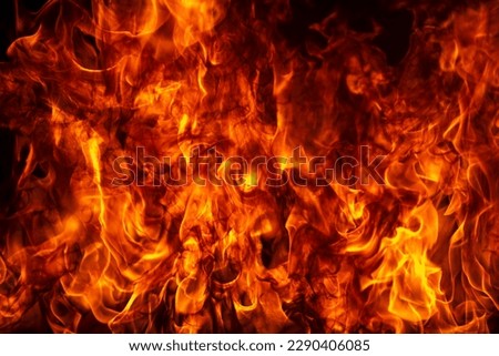 Texture of fire on a black background. Abstract fire flame background, large burning fire. Royalty-Free Stock Photo #2290406085