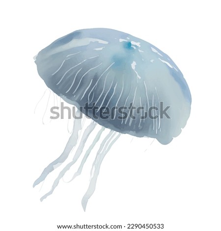 jellyfish with style hand drawn digital painting illustration