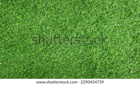 Grass for background take pic by phone Royalty-Free Stock Photo #2290454739