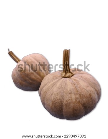 picture of two brown pumpkins with white background