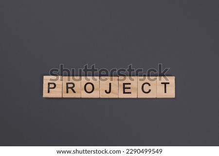 Project word from wooden blocks on gray background