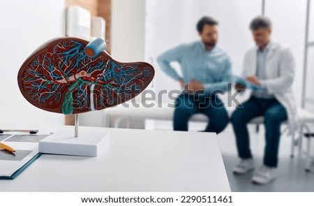 Liver anatomical model on doctor's table during hepatologist consultation for patient with side pain in background. Treatment liver diseases in medicine, conceptual image Royalty-Free Stock Photo #2290511461