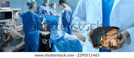 Liver resection, gallbladder and pancreas surgery. Hospital operating theater with surgery team while surgical operation of human internal organs, liver, gallbladder, pancreas Royalty-Free Stock Photo #2290511463