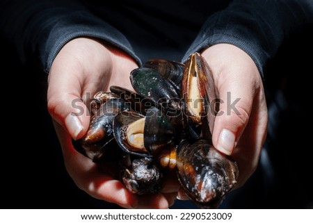 Mussels are molluscs with dark shells.
