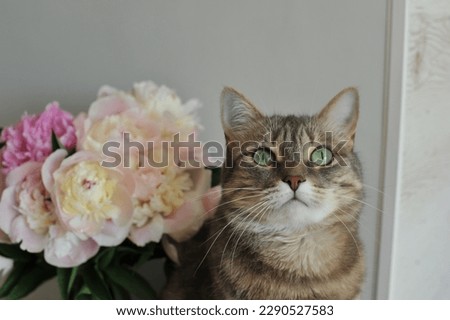 Cat with a bouquet of spring flowers.
