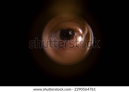 View from the peephole. The human eye looks through the peephole from the flight cage. Close-up Royalty-Free Stock Photo #2290564761