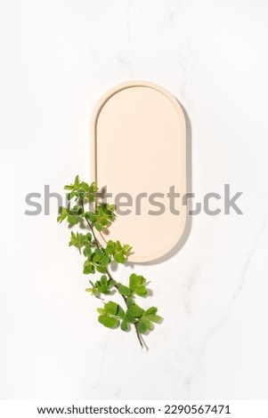 Beauty cosmetics product presentation flat lay mockup scene made with beige oval shape and green leaves branch. Vertical studio photography.