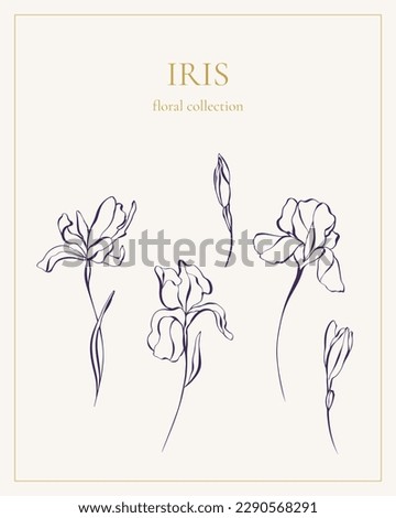 Set of luxury iris flowers isolated on light background. Hand-sketched botanical elements for invitation or greeting card. Elegant vector flowers Royalty-Free Stock Photo #2290568291