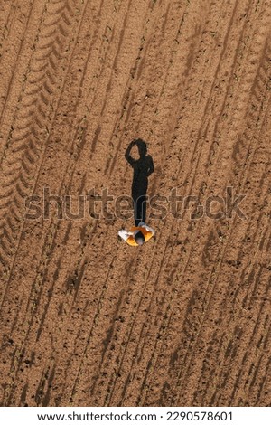 Aerial shot of female farmer standing in corn sprout field and examining crops. Farm worker wearing trucker's hat and jeans on plantation from drone pov. Royalty-Free Stock Photo #2290578601
