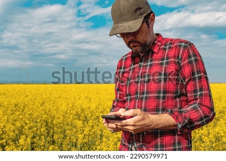 Rapeseed crop farmer using smartphone in blooming canola field. Farm worker wearing plaid shirt and trucker's hat with aid of innovative technology in agricultural activity. Selective focus. Royalty-Free Stock Photo #2290579971