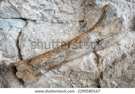 Dinosaur National Monument in Colorado Royalty-Free Stock Photo #2290580167