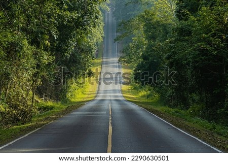 Road in the middle of the forest and ascending to the top of the hill. in Khao Yai National Park, Thailand. Royalty-Free Stock Photo #2290630501