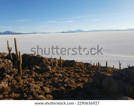 Bolivia uyuni desert landscape meditation alone
