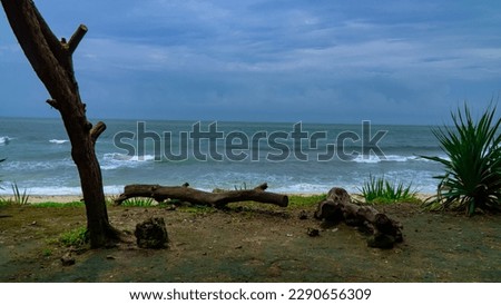 A beach with a fallen tree trunk