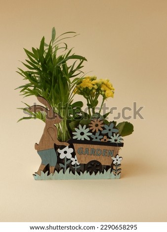 Spring flowers in wooden planter, isolated on beige background. Easter decoration. Springtime decoration