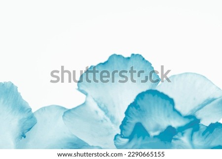 Soft blurred petal of blue flower for background Royalty-Free Stock Photo #2290665155