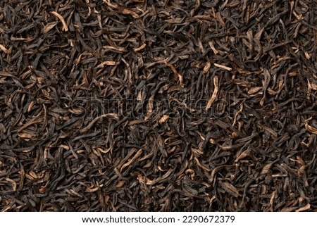 Indian Assam black Harmutty dried tea leaves full frame close up as background Royalty-Free Stock Photo #2290672379