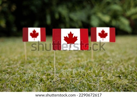 Canadian flag. Flag Canada. Flag of Canada. Waving Canadian flag.