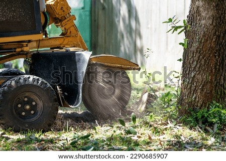 Stump grinder grinding down tree stump on a sunny day  Royalty-Free Stock Photo #2290685907