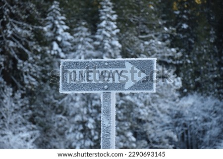 Frozen One Way Sign in Yosemite