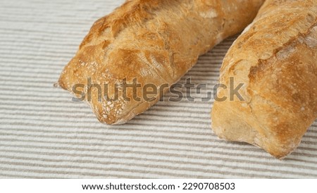 Freshly baked artisan ciabatta bread. Two fresh ciabatta on a table with a tablecloth. Homemade ciabatta.