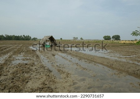 A small hut in the middle of a beautiful paddy field