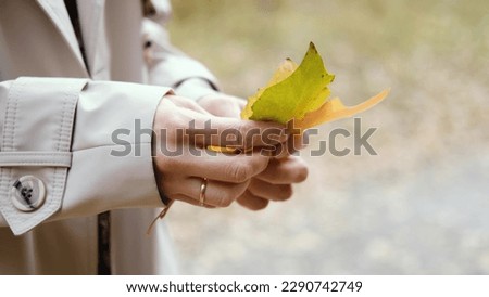 Woman's hands holding autumn leaves in autumn park. Autumn season.