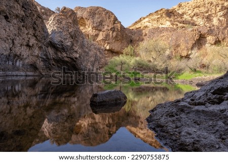 Pond reflection in a desert oasis. 