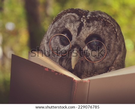 An owl animal with glasses is reading a book in the woods for an education or school concept. Royalty-Free Stock Photo #229076785