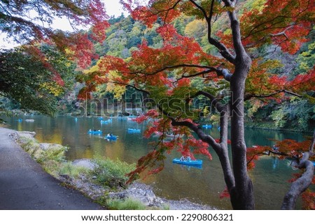 Hozugawa River Boat Ride in Autumn, Blue Rowboat, Red Yellow Orange Autumn Leaves Scenery