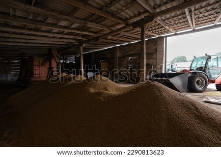Piles of soybean grains drying at mill storage or grain elevator. The main commodity group in the food markets. Somewhere in Lviv region in west of Ukraine. Royalty-Free Stock Photo #2290813623