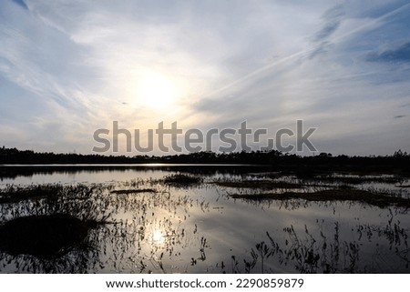 Beautiful forest swamp lake at sunset. The low sun is reflected in the calm dark water. Amazing clouds with haze. Silhouettes of mossy bog hummocks and coniferous forest. Estonia, Northern Europe