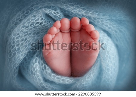 Close-up of tiny, cute, bare toes, heels and feet of a newborn girl, boy. Baby foot on blue soft coverlet, blanket. Detail of a newborn baby legs.Macro horizontal professional studio photo.  Royalty-Free Stock Photo #2290885599