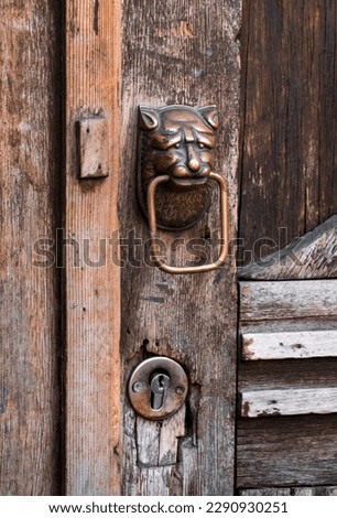 Vertical photo close-up of a brass doorknocker in the shape of a cat. Ancient vintage decor.