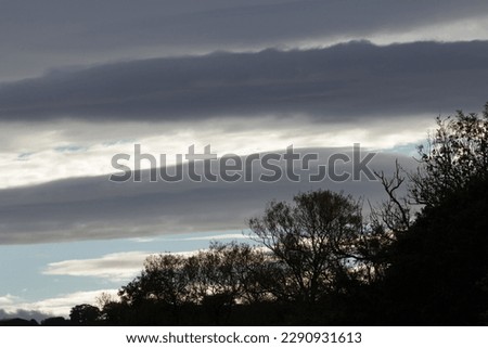 silhouette of trees in the morning with blue sky and white and dark clouds
