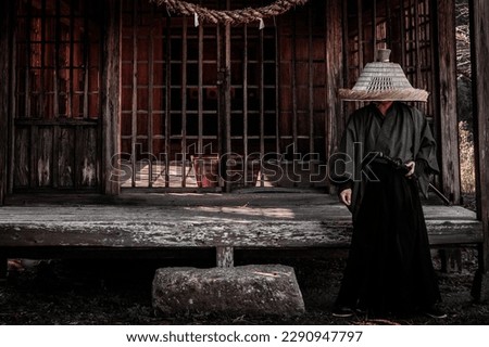 Samurai and ancient Japanese landscape Royalty-Free Stock Photo #2290947797