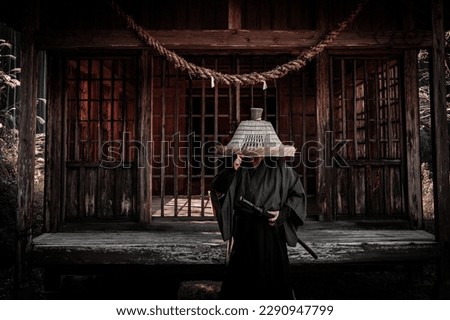 Samurai and ancient Japanese landscape Royalty-Free Stock Photo #2290947799