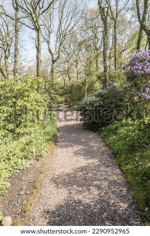 Shropshire Woodland landscape with pathway, trees and shrubs, travel concept illustration.