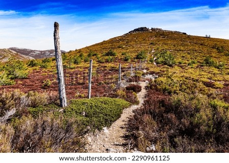 Pathway by the fence at the Ayllón Mountains. Guadalajara. Spain.
