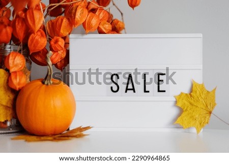 Sale concept - Lightbox with yellow leaves, orange pumpkin and physalis